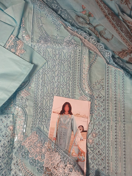Bin ilyas chikankari